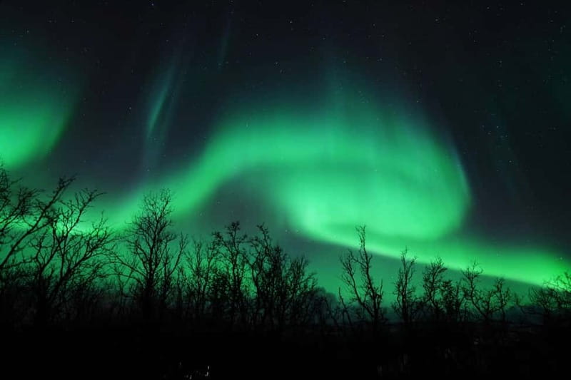 Tromsø: Northern Lights Chase with Local Guide & Free Photos - Free photos and camera help