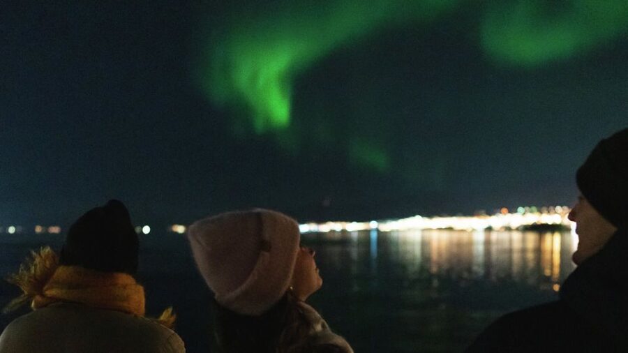 Tromsø: Northern Lights Cruise with 2nd Chance Guarantee - Who should choose this cruise