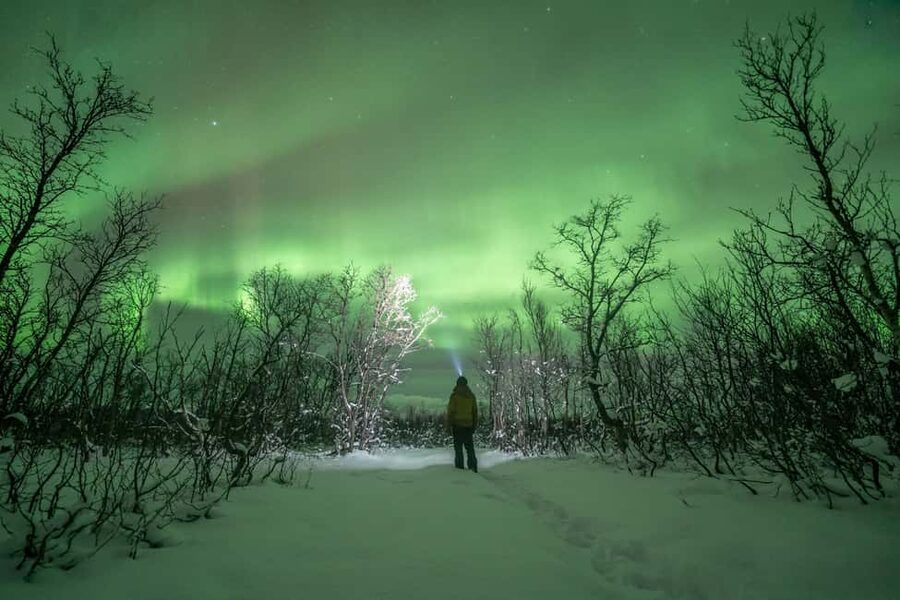 Tromsø: Northern Lights Hunt with Photos and Hot Food - Thermal suits, winter clothing, and staying warm