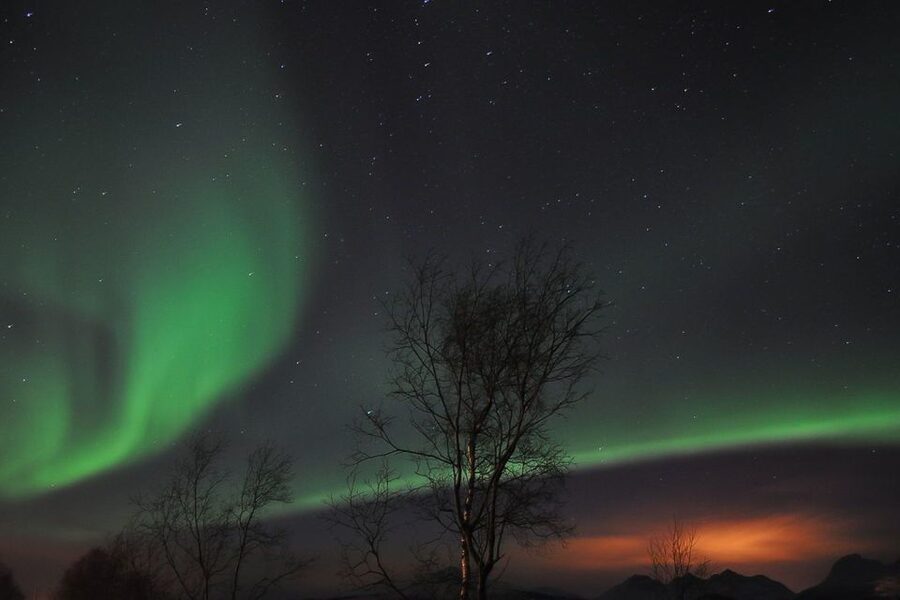 Tromsø: Northern Lights Husky Visit with Traditional Dinner - Meeting the Alaskan huskies