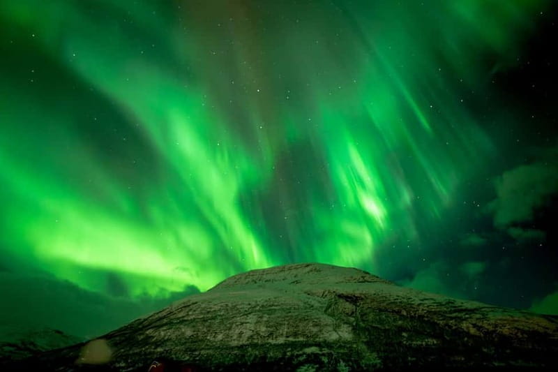 Tromsø: Northern Lights in a Minivan with Free Photos and a Hot Meal - Who should book this Tromsø tour?