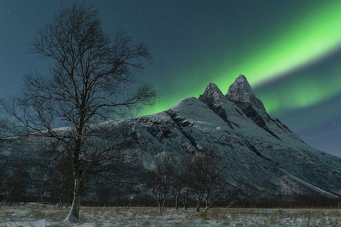 Tromso Northern Lights Minibus Chase Small Group Tour with Photos - Price and value at $210.53