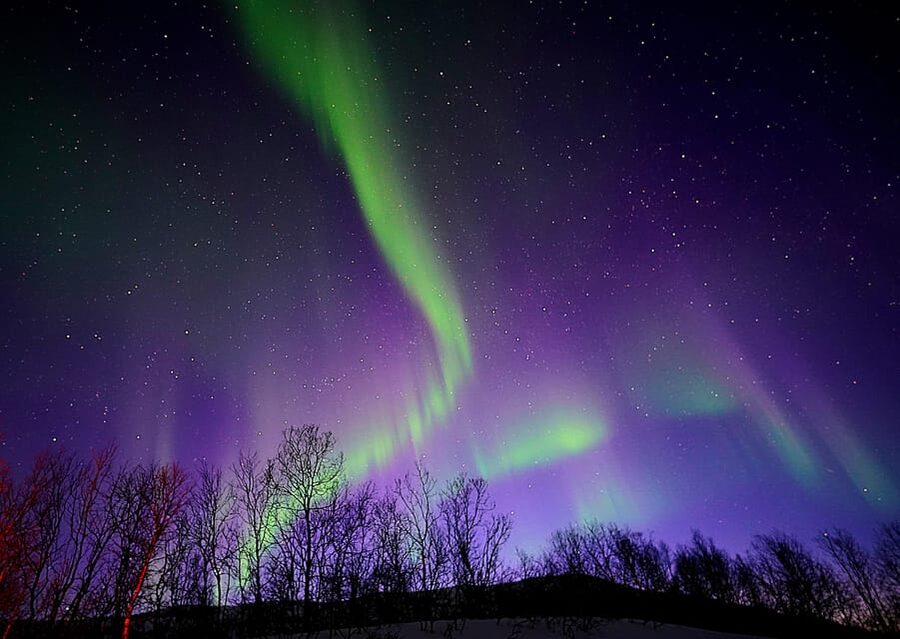 Tromso: Northern Lights Minibus Tour with Campfire - Key points to know before booking