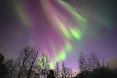 Northern Lights Minibus Tour with Campfire