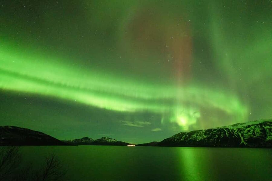 Tromsø: Northern Lights Minibus Tour with Local Experts - Key points to know before booking
