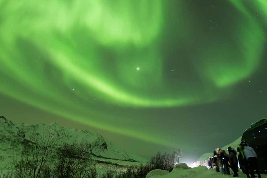 Tromsø: Northern Lights Minibus Tour with Local Experts - Waiting beside a fire, fjord, or beach
