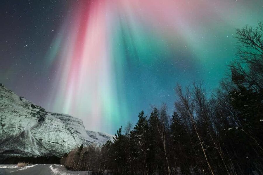 Tromsø: Northern Lights Minibus Tour with Local Experts - The guides add more than directions
