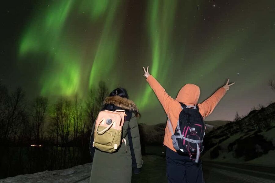 Tromsø: Northern Lights Minibus Tour with Local Experts - What happens when the forecast looks awful