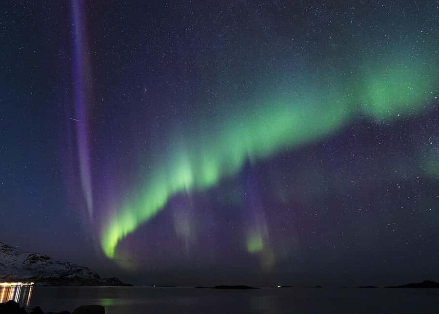 Tromsø: Northern Lights Minibus Tour with Local Experts - Is $116 a fair price?