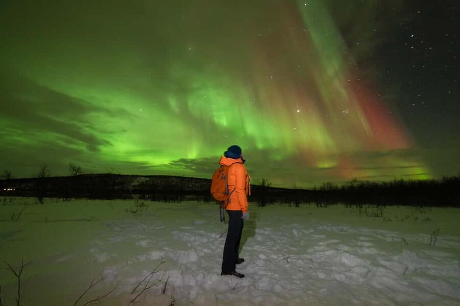 Tromsø: Northern Lights Minibus Tour with Local Experts - From Storgata 44 into the Arctic night