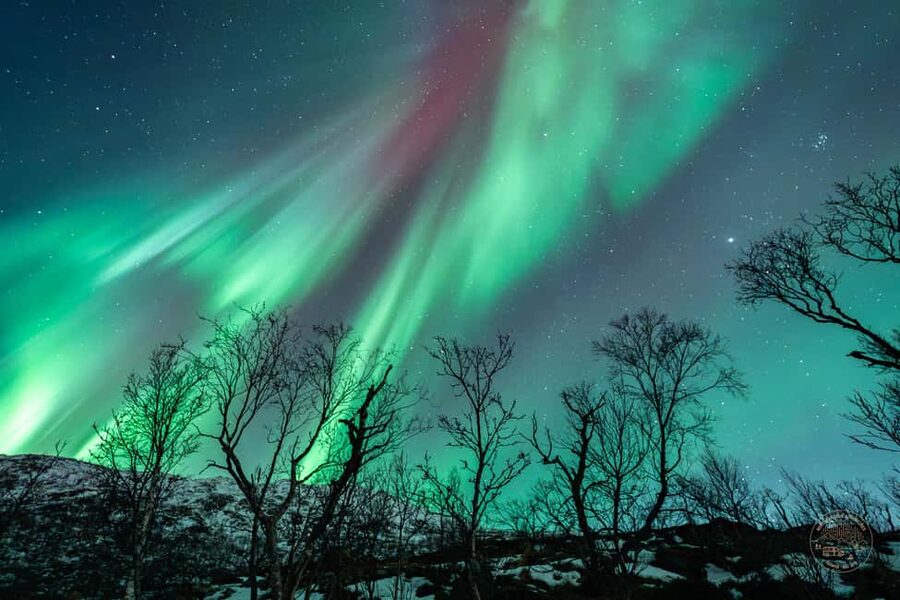 Tromso: Northern Lights Photography Tour - Waiting in the cold, with hot chocolate