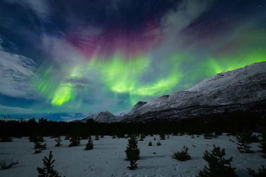 Tromso: Northern Lights Photography Tour - The $95 price and what it buys you
