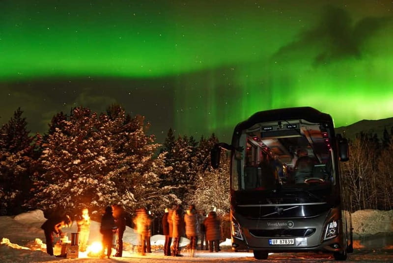 Tromsø: Northern Lights Safari with Expert Guides and Photos - The bus, group size, and pace