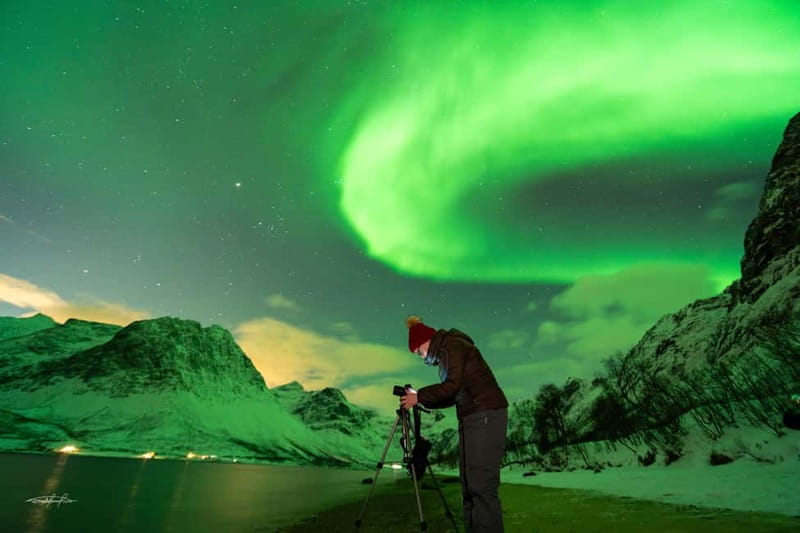 Tromsø: Northern Lights Safari with Expert Guides and Photos - Price, cancellation, and who gets the best value