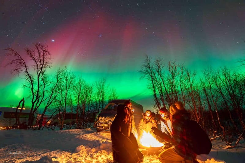 Tromsø: Northern Lights Safari with Expert Guides and Photos - Should you book this Northern Lights safari?