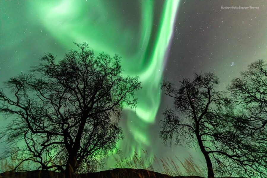 Tromsø: Northern Lights Tour w/Photo, Suits and Local Guide - Tom’s photography is a real advantage