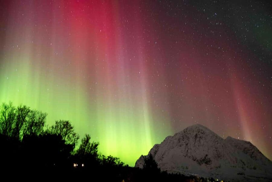 Tromsø: Northern Lights Tour with Dinner and Native Guide - What $230 buys you in practical terms