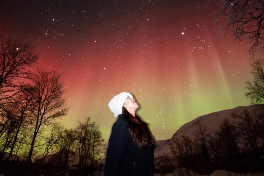 Tromsø: Northern Lights Tour with Local Guide and Photos - Brown cheese, hot chocolate, and homemade cake