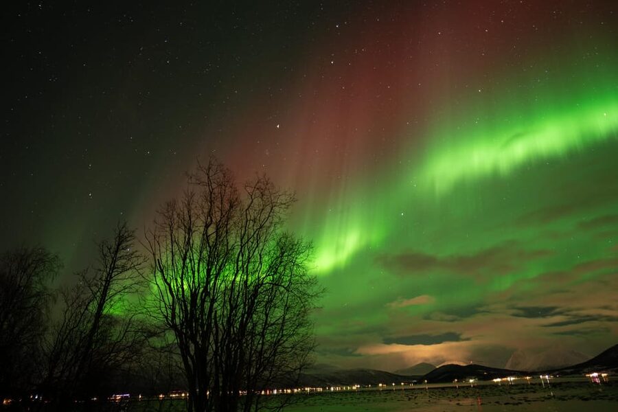 Tromsø: Northern Lights Tour with Local Guide and Photos - Is $162 a fair price?