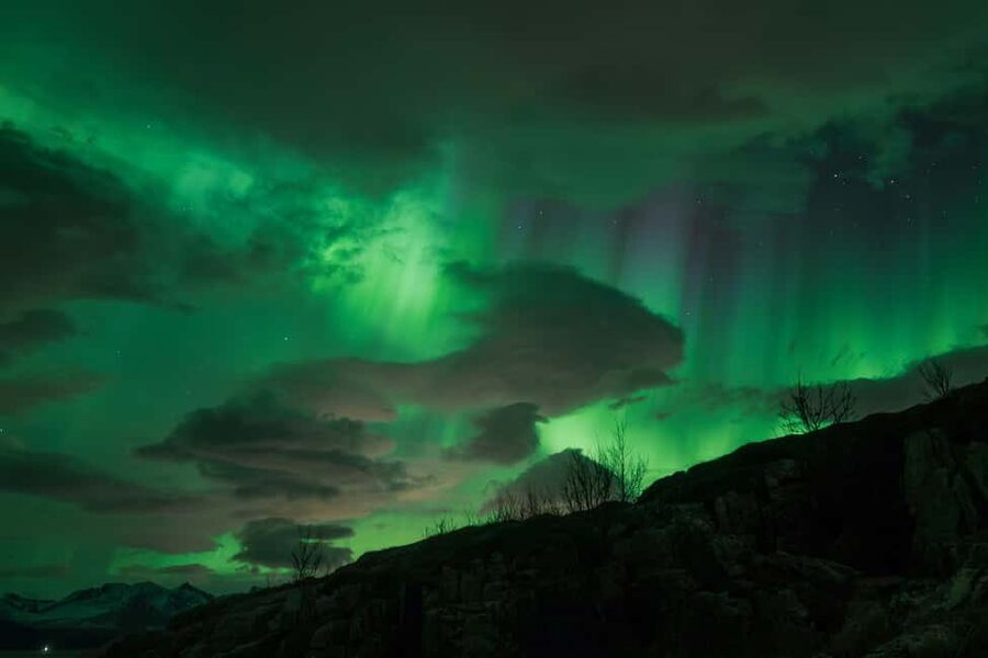 Tromsø: Northern Lights Tour with Local Stories & Photos - Who will get the most from this tour