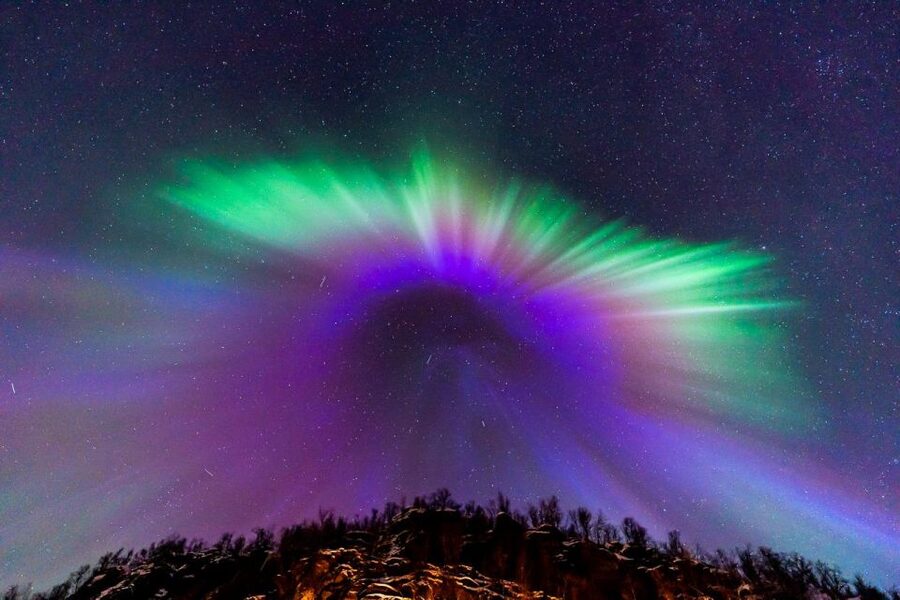 Tromsø: Northern Lights Tour with Photos, Hot Meal & Drinks - Key points before you book