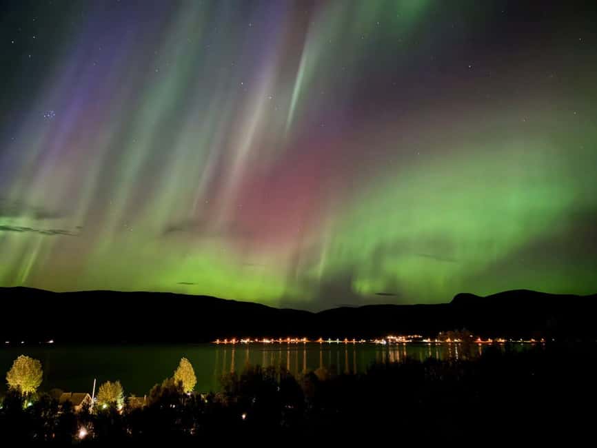 Tromsø: Northern Lights Tour with Photos & Snacks - Who will enjoy this most?