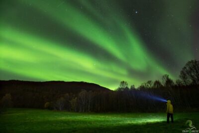 Northern Lights Trip with Campfire and Snacks