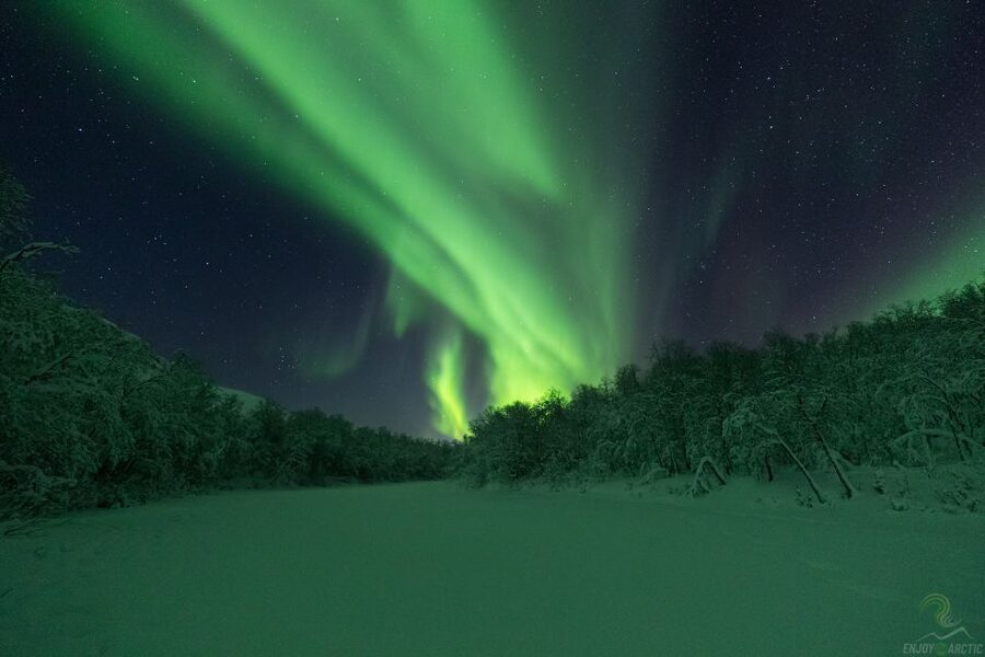 Tromsø: Northern Lights Trip with Campfire and Snacks - Who should book this Tromsø outing?