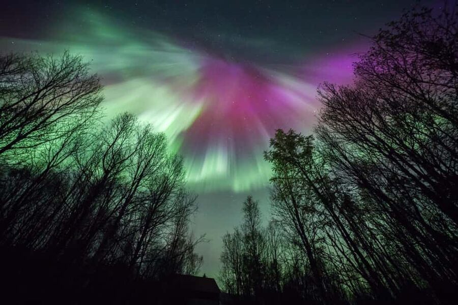 Tromsø: Premium Northern Lights Chase with Free Photos - Who should choose this tour?