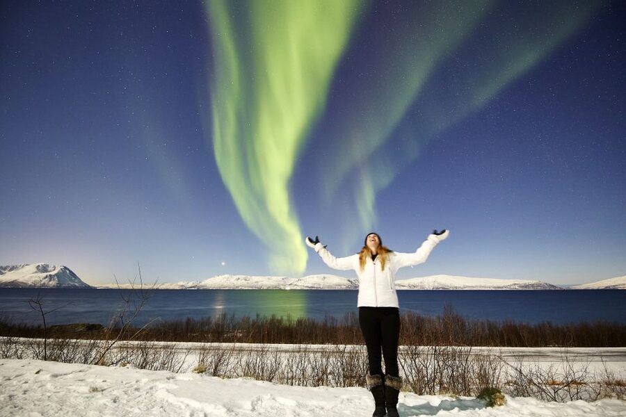 Tromsø: Private 6-Hour Aurora Chase by Minivan - A private minivan changes the chase
