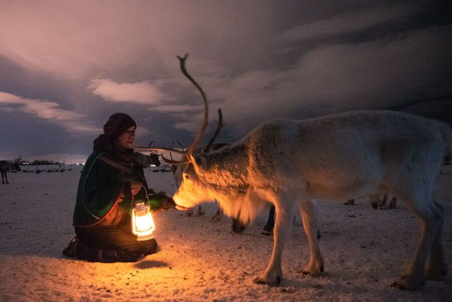 Tromsø: Reindeer Camp Dinner with Chance of Northern Lights - A three-course dinner inside the gamme