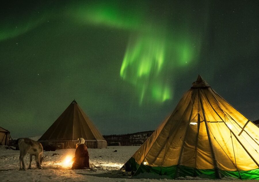 Tromsø: Reindeer Camp Dinner with Chance of Northern Lights - Feeding the reindeer after dark