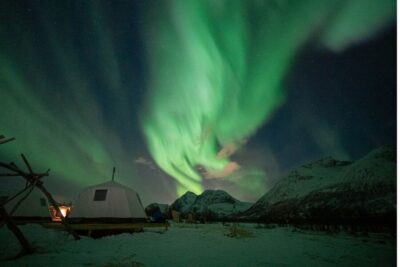 Reindeer Feeding & Chance of Northern Lights Viewing