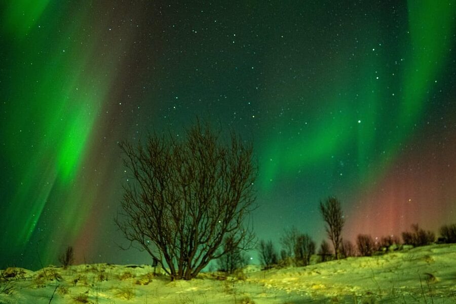 Tromsø: Small-Group Adventurous Northern Lights Hunt - Why this Tromsø Aurora chase is different