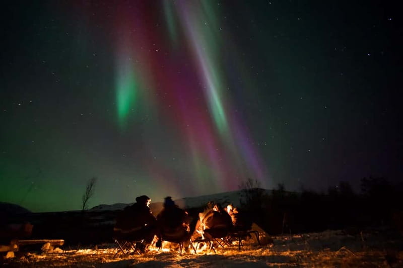 Tromsø: Small-Group Northern Lights Tour by Minibus - Stops, scenery, and the waiting game