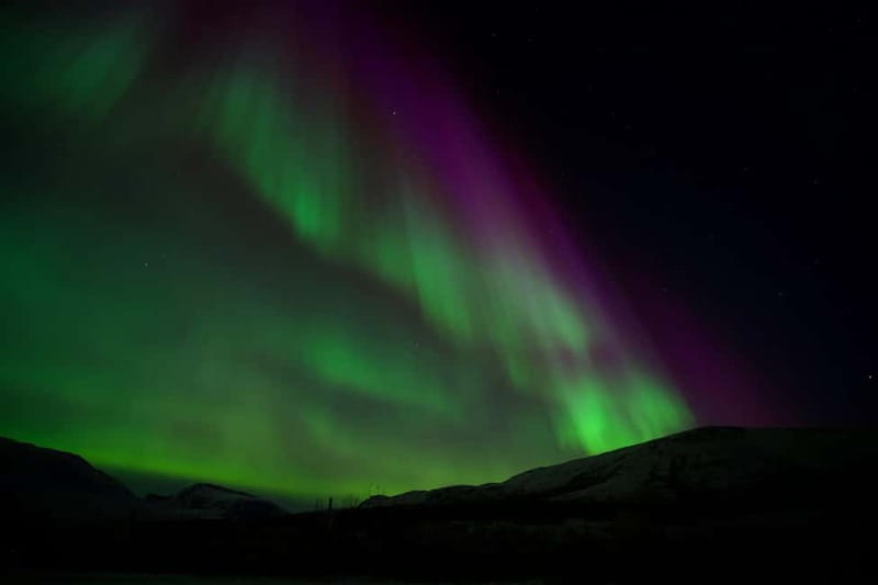 Tromsø: Small-Group Northern Lights Tour by Minibus - Guides who shape the evening