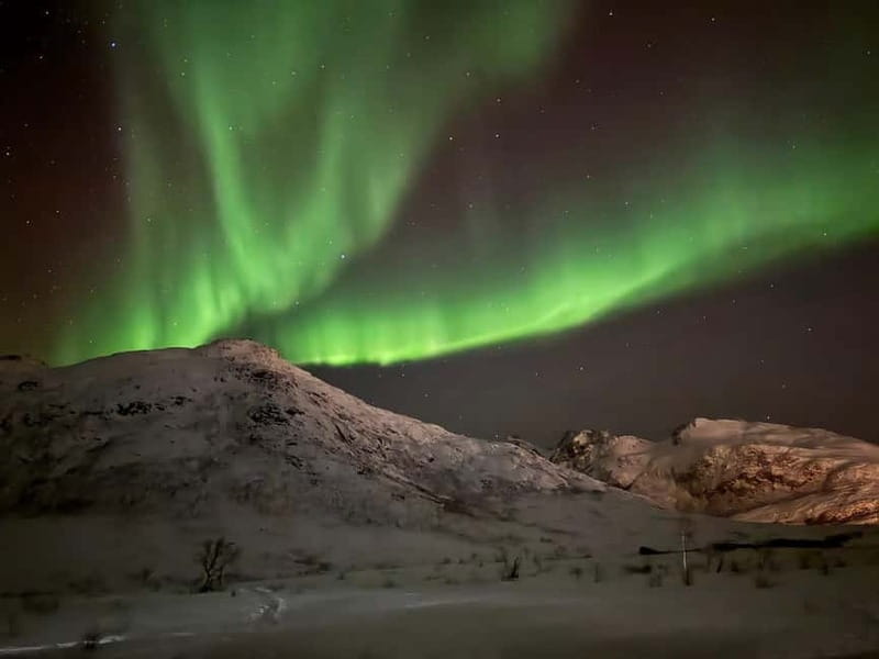 Tromsø: Small-Group Northern Lights Tour by Minibus - Price and what you receive for $251