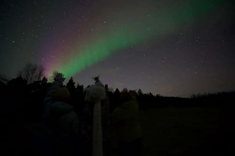 Tromsø: Small-Group Northern Lights Tour by Minibus - Who should book this tour?