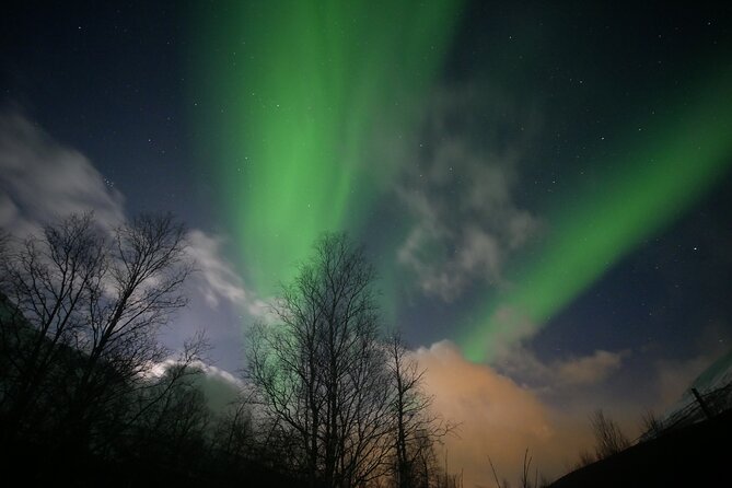 Watching The Aurora Dance - The cabin break changes the night