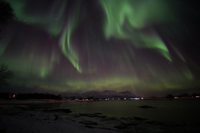 Watching The Aurora Dance - Is $167.36 a fair price?