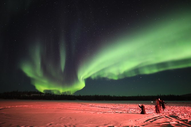 Yellowknife Tours - Aurora by bus - Key points to know before you book