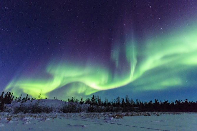 Yellowknife Tours - Aurora by bus - Yellowknife River Territorial Park: a final place to look