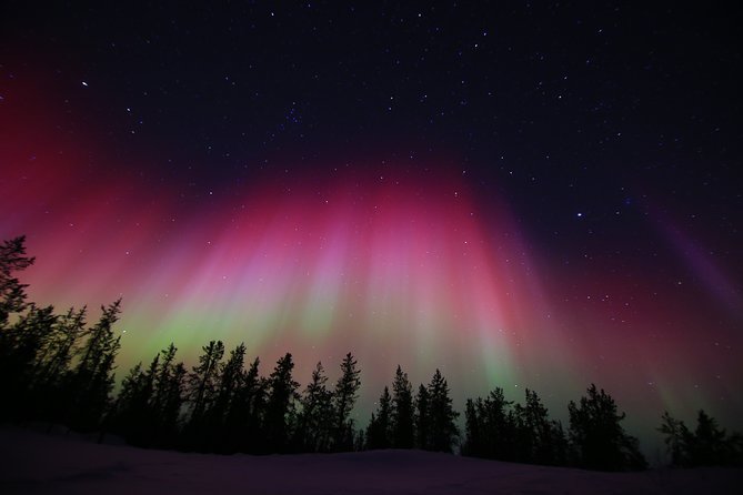 Yellowknife Tours - Aurora by bus - Guides make the difference after midnight