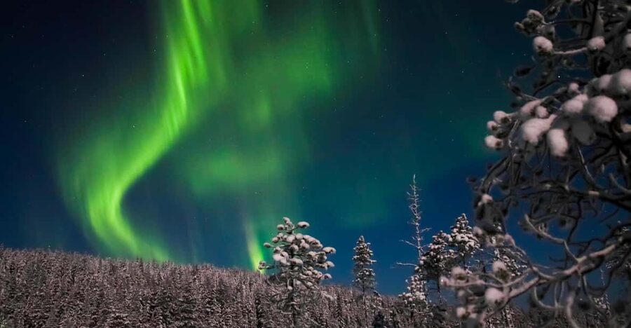 Ylläs: Seeking Northern Lights Photo Tour - Hot drinks, cookies, and the cold