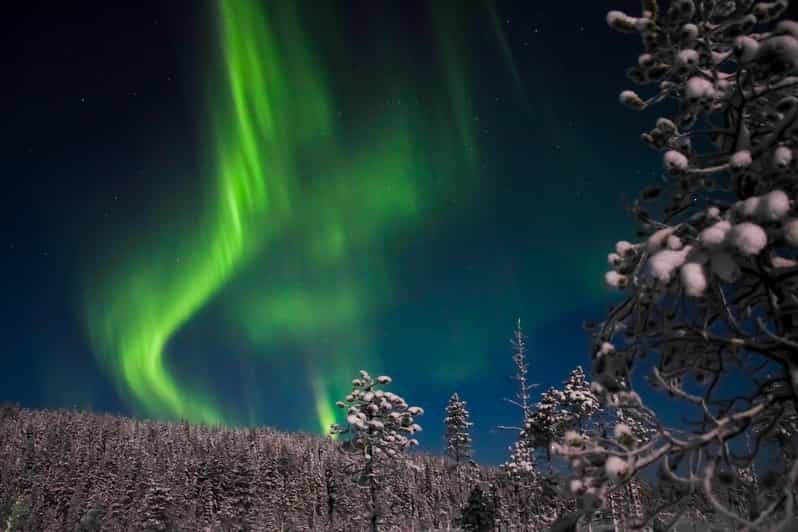 Ylläs: Seeking Northern Lights Photo Tour - The value of the $140 price