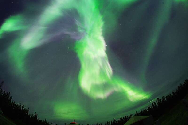 Yukon: Aurora Borealis Late Night Viewing Tour - Should you book the Aurora Borealis Late Night Viewing Tour?