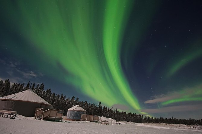Yukon Aurora Viewing Package | 4 days - Day three: a flexible day with another night outside